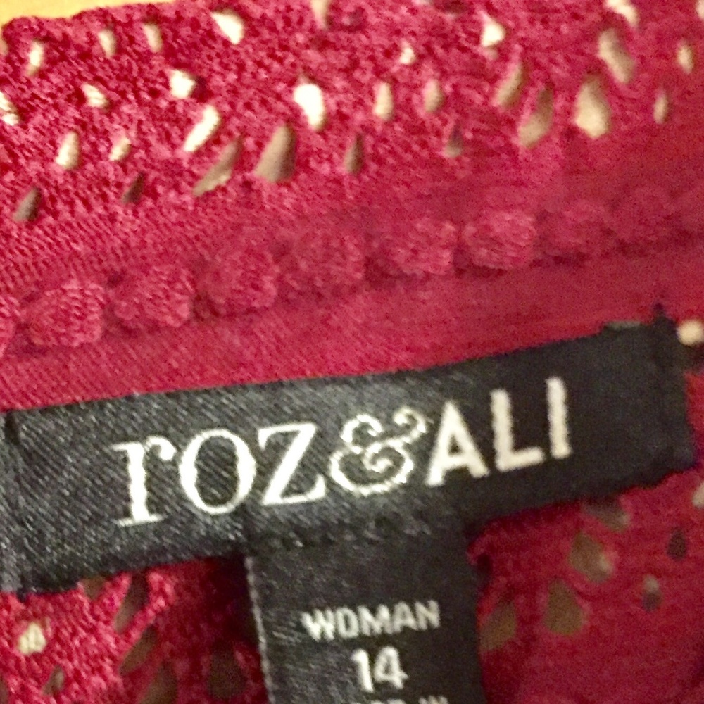 Lace Overlay Sleeveless Roz & Ali Dress - Picture 2 of 6